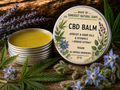 CBD Balm